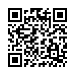 Ghế Massage Lifesport LS-55