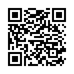 Ghế Massage Lifesport LS-999