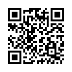 Ghế Massage Lifesport LS-169