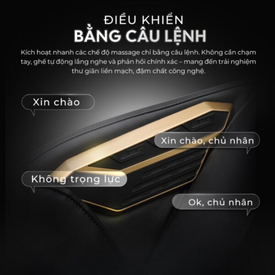 Ghế Massage Lifesport LS-681