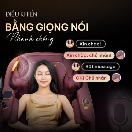 Ghế Massage Lifesport LS-682