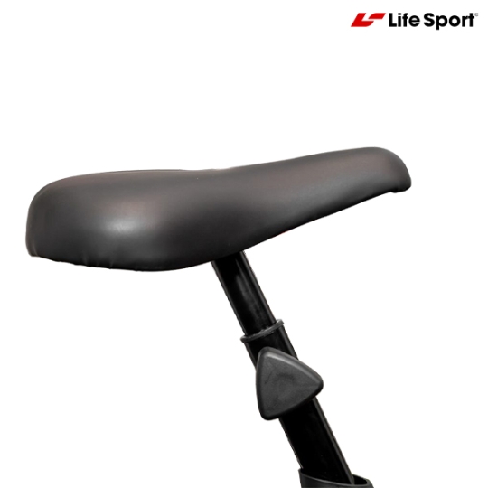 Xe Đạp Tập Thể Dục Giá Rẻ Lifesport LS-113