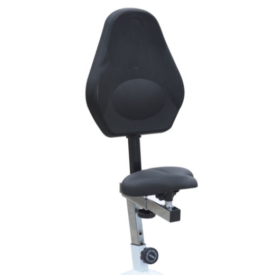Xe Đạp Tập Toàn Thân Lifesport LS-220