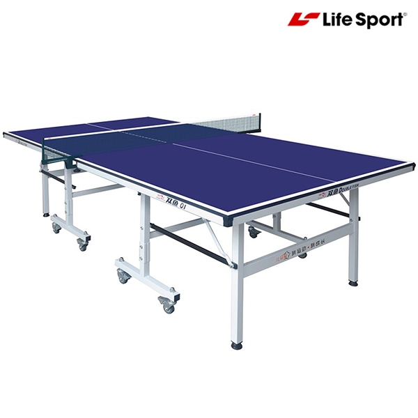 Bàn Bóng Bàn Mini Double Fish Q1